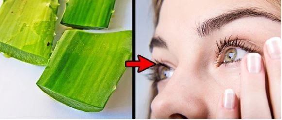 làm dài mi bằng nha đam có hiệu quả không