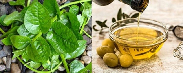 cách làm trắng da mặt bằng rau mồng tơi và dầu oliu