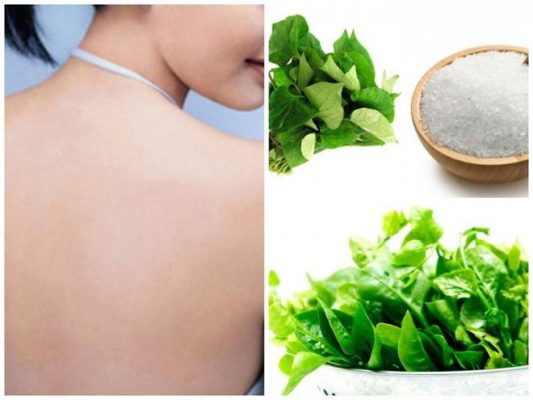 cách làm trắng da mặt bằng rau mồng tơi và muối
