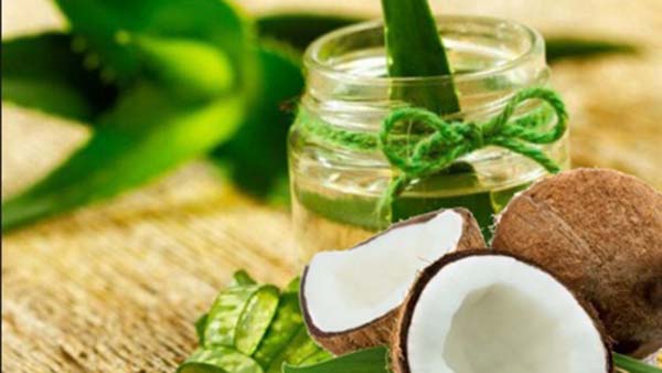 cách làm dài mi bằng dầu dừa và nha đam