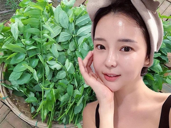cách trị nám sạm da tại nhà bằng rau ngót
