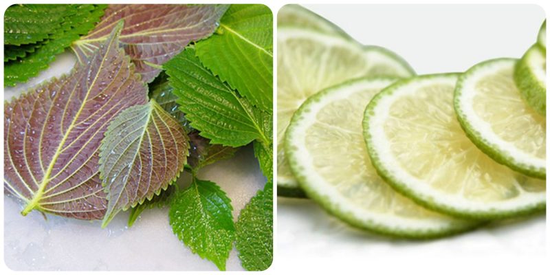 cách làm trắng da mặt bằng lá tía tô và chanh