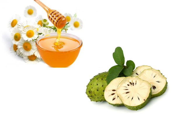 cách trị nám da bằng mãng cầu xiêm và mật ong