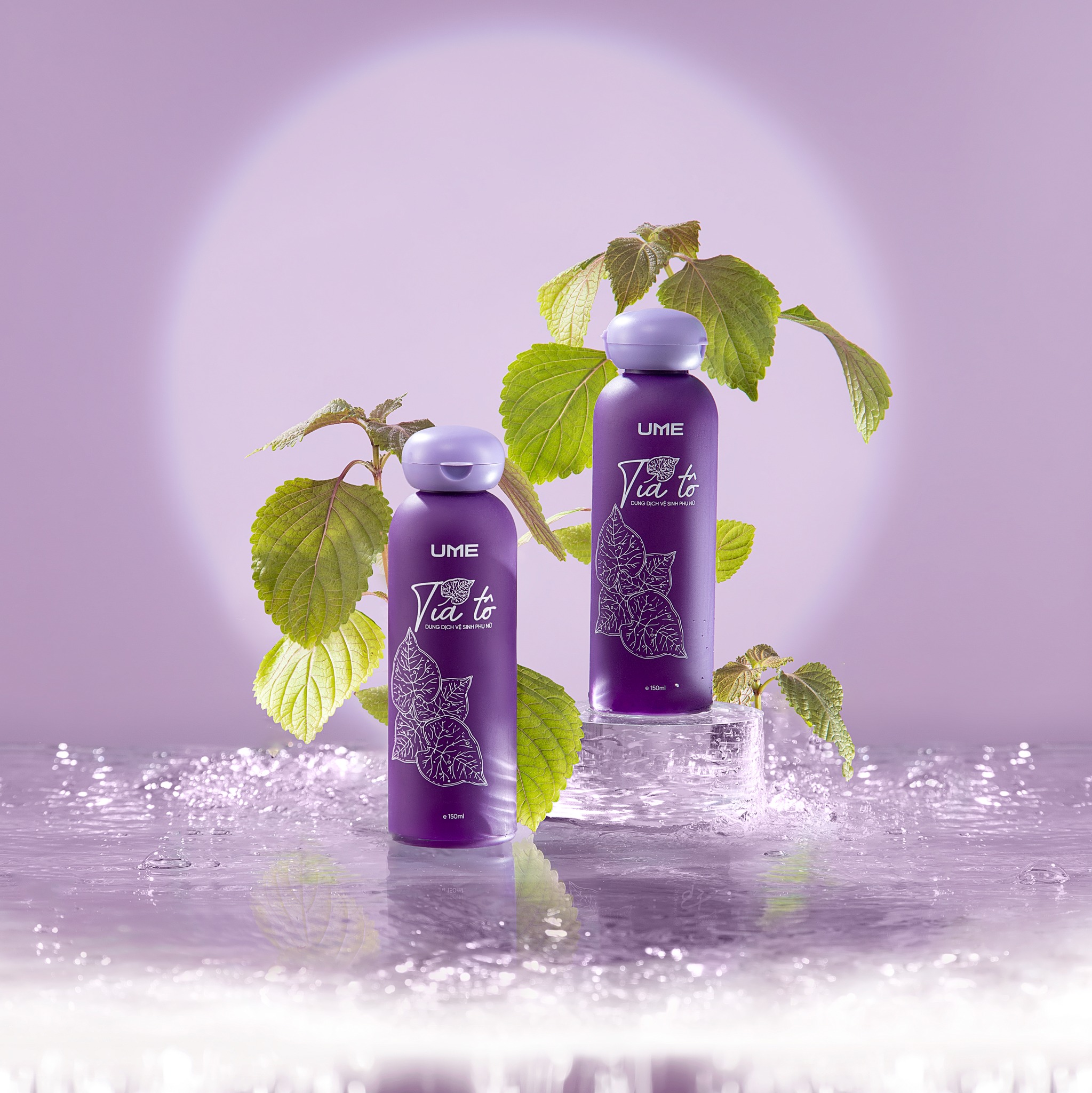 Thành phần Dung Dịch Vệ Sinh Phụ Nữ Tía Tô từ 100% thiên nhiên